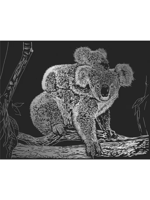 Hobbius Гравюра 20 x 25.5 см. "Коалы" (серебро), 20x25.5 см