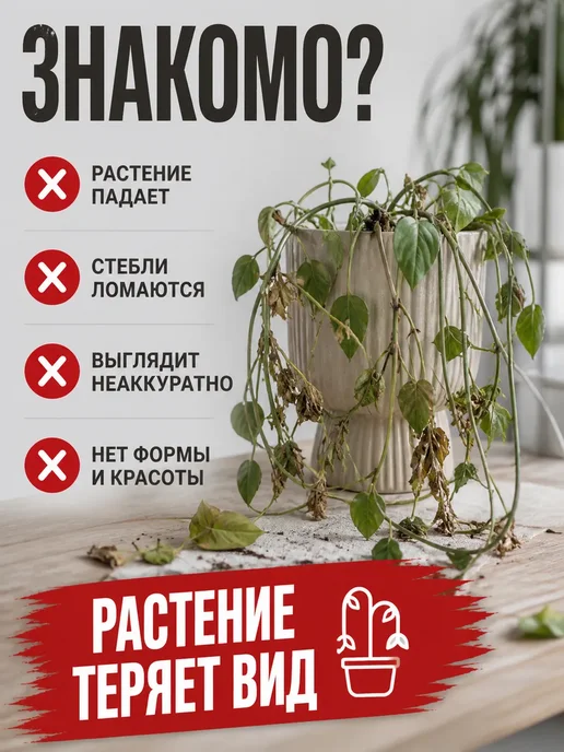 СК21 Поддержка для растений садовых,комнатных, вариант, фото 2