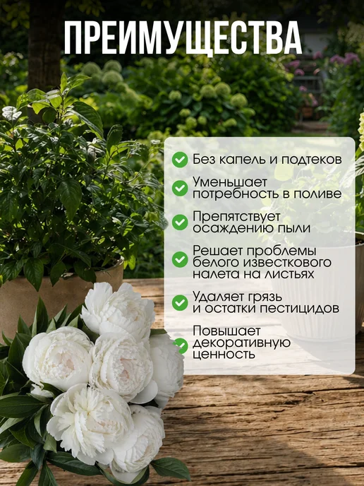 Кристафлор Блеск для листьев, вариант, фото 3