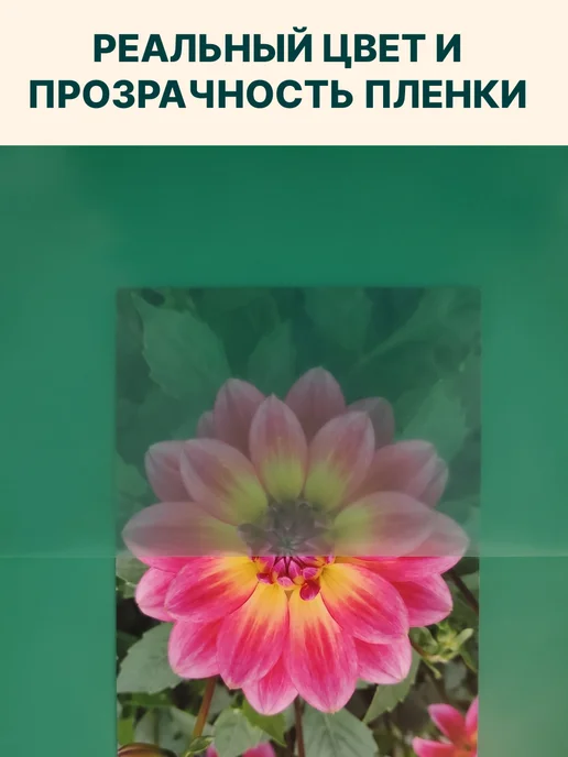 Прамень Пленка тепличная плотная многолетняя 3х6 м. 120 мкм, 3x6 м, фото 7