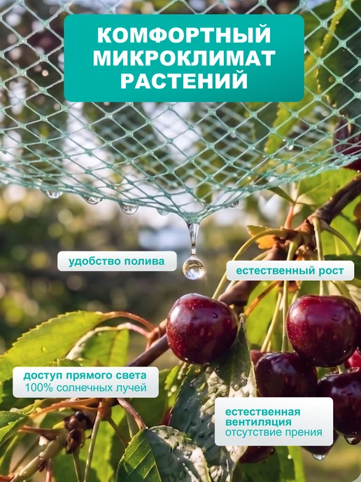 FERMARIUS Сетка садовая от птиц, защитная для клубники, вариант, фото 6