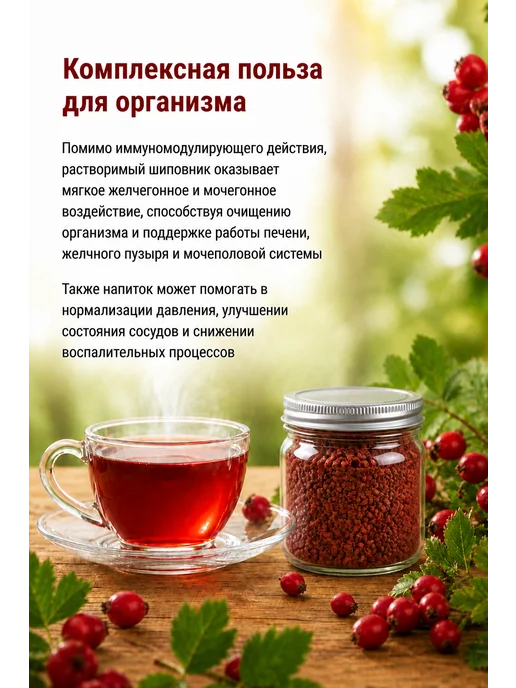 Шиповник Здоровье гранулированный растворимый напиток 75 гр, 75 г, фото 4