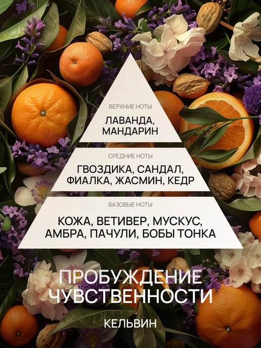 Aromance Шампунь для волос Kelvin 500мл, 500 мл, фото 4