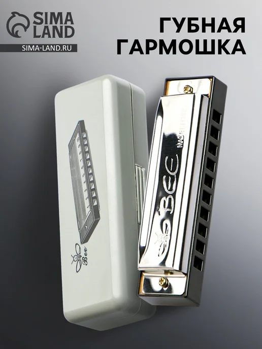 MAXRESALE_1 Губная гармошка диатоническая c-major с футляром серебро, серебристый