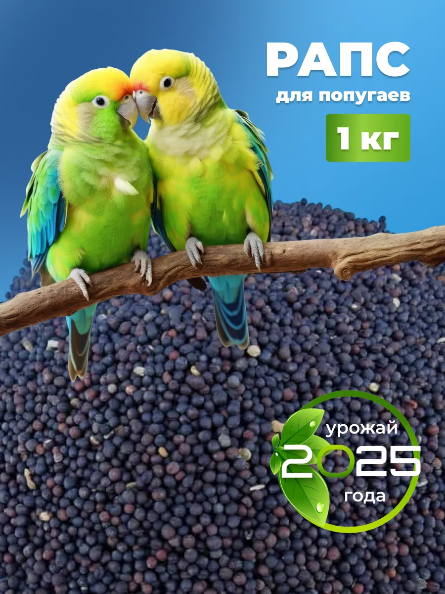 рапс для попугаев