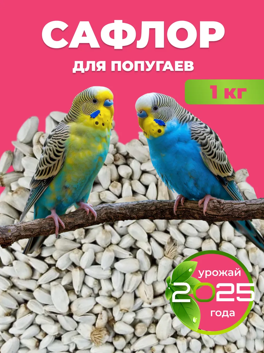 сафлор для попугаев