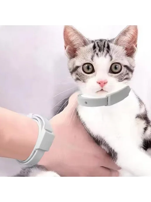3 шт ошейник от блох и клещей для кошек до 22 см, 3 шт, фото 3