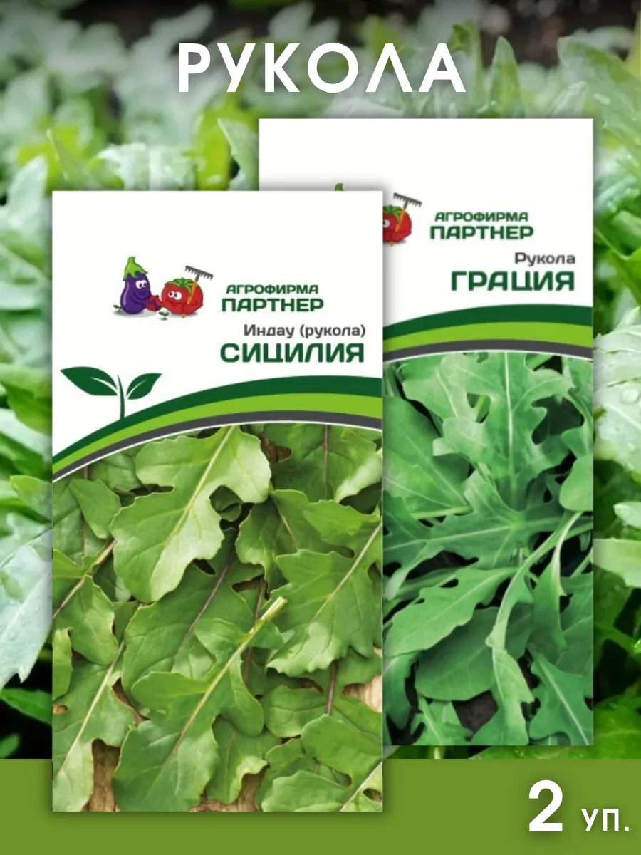 Семена рукколы Партнер Грация