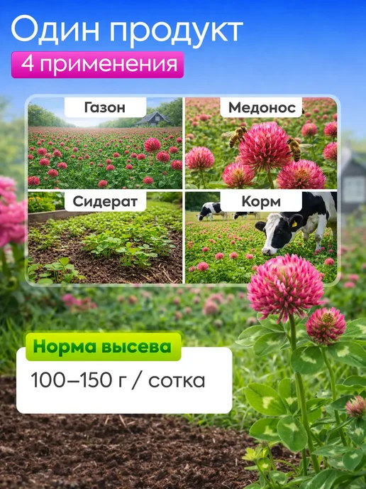 Клевер красный семена 1 кг, 1 кг, фото 2