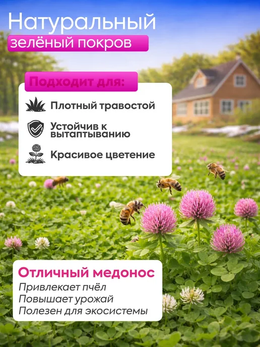 Клевер красный семена 1 кг, 1 кг, фото 5