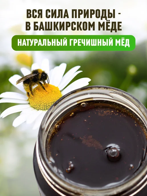 Мед Куляшовых Мед натуральный гречишный 500 грамм, вариант, фото 2