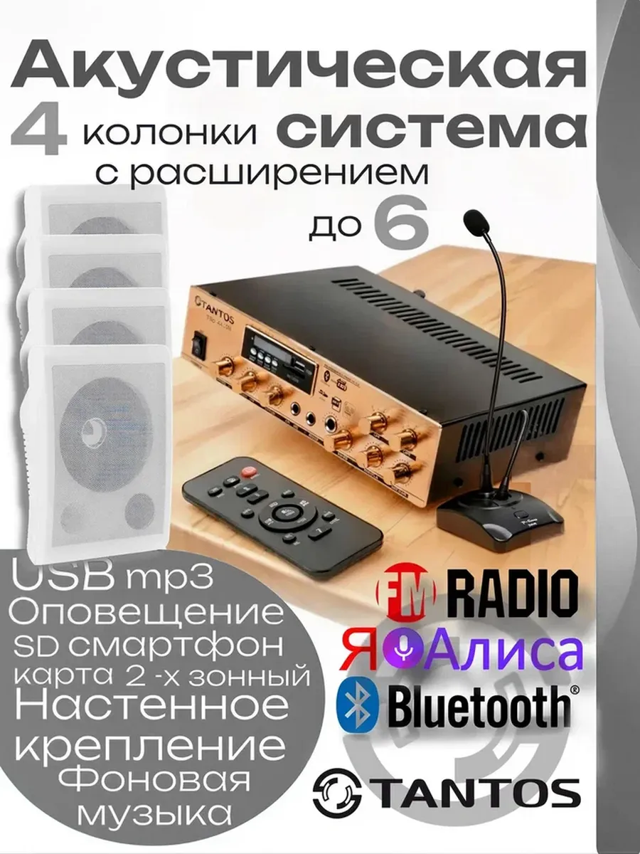 Акустическая система TSo-30M-SW6a с усилителем