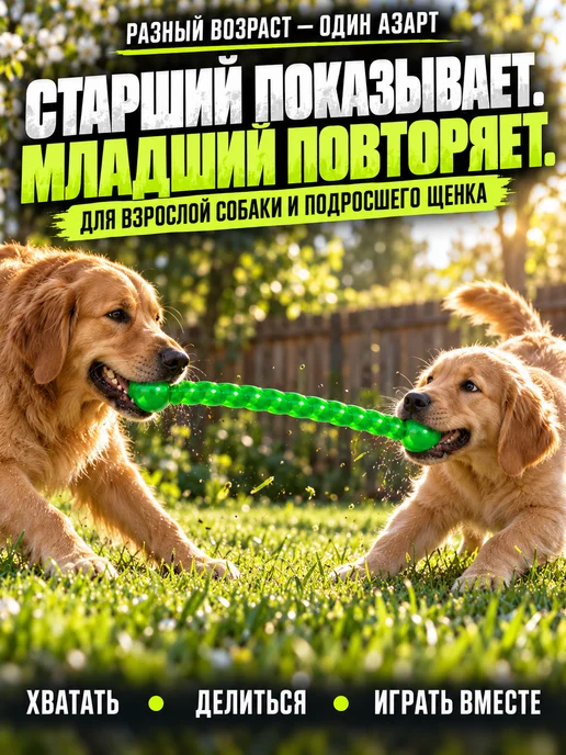 ЗООГЕНИЙ Прочная игрушка-грызак для собак крупных пород 49 см красная, зеленый, фото 6