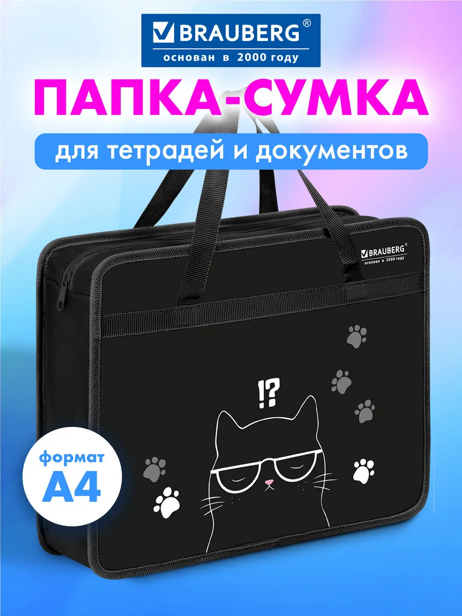 Папка сумка для тетрадей, труда, рисования и изо А4 в школу
