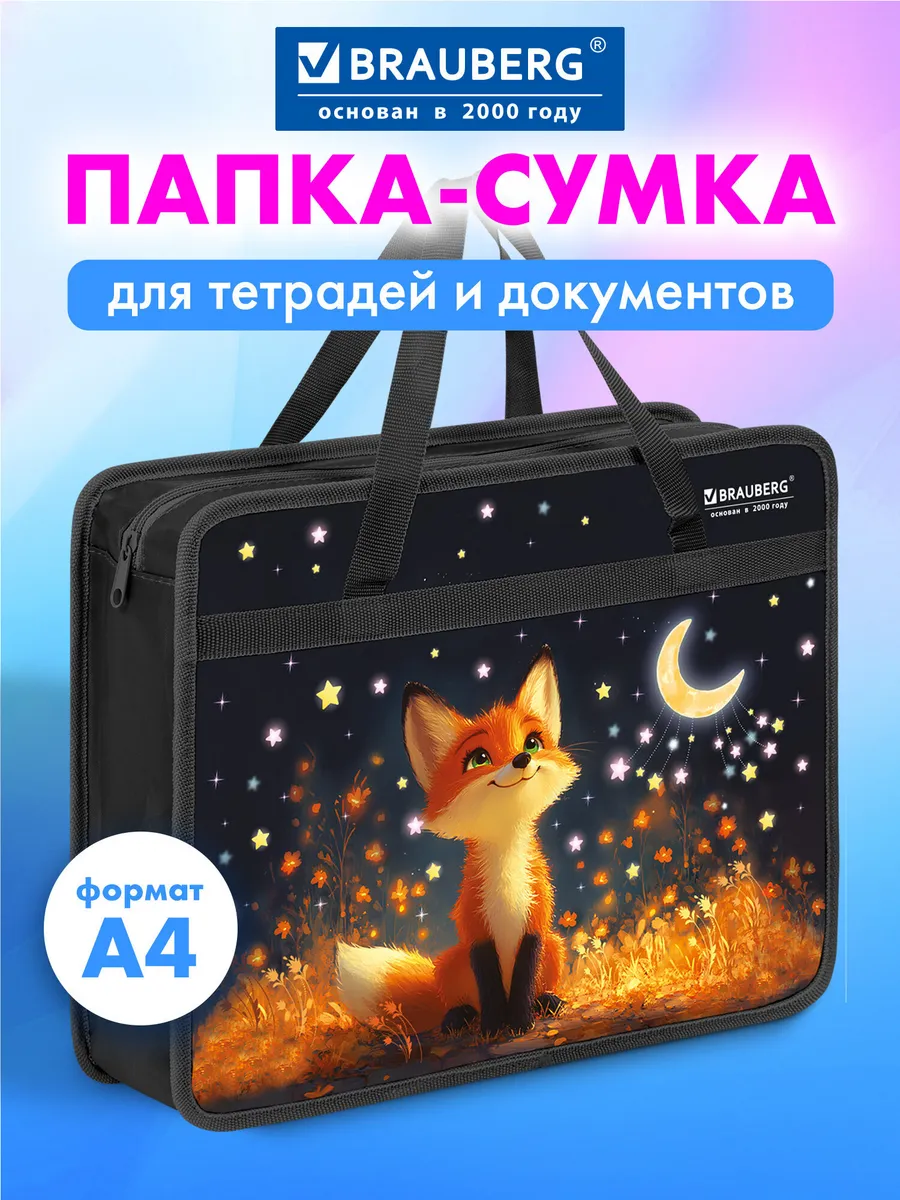 Папка сумка для тетрадей, труда, рисования и изо А4 в школу