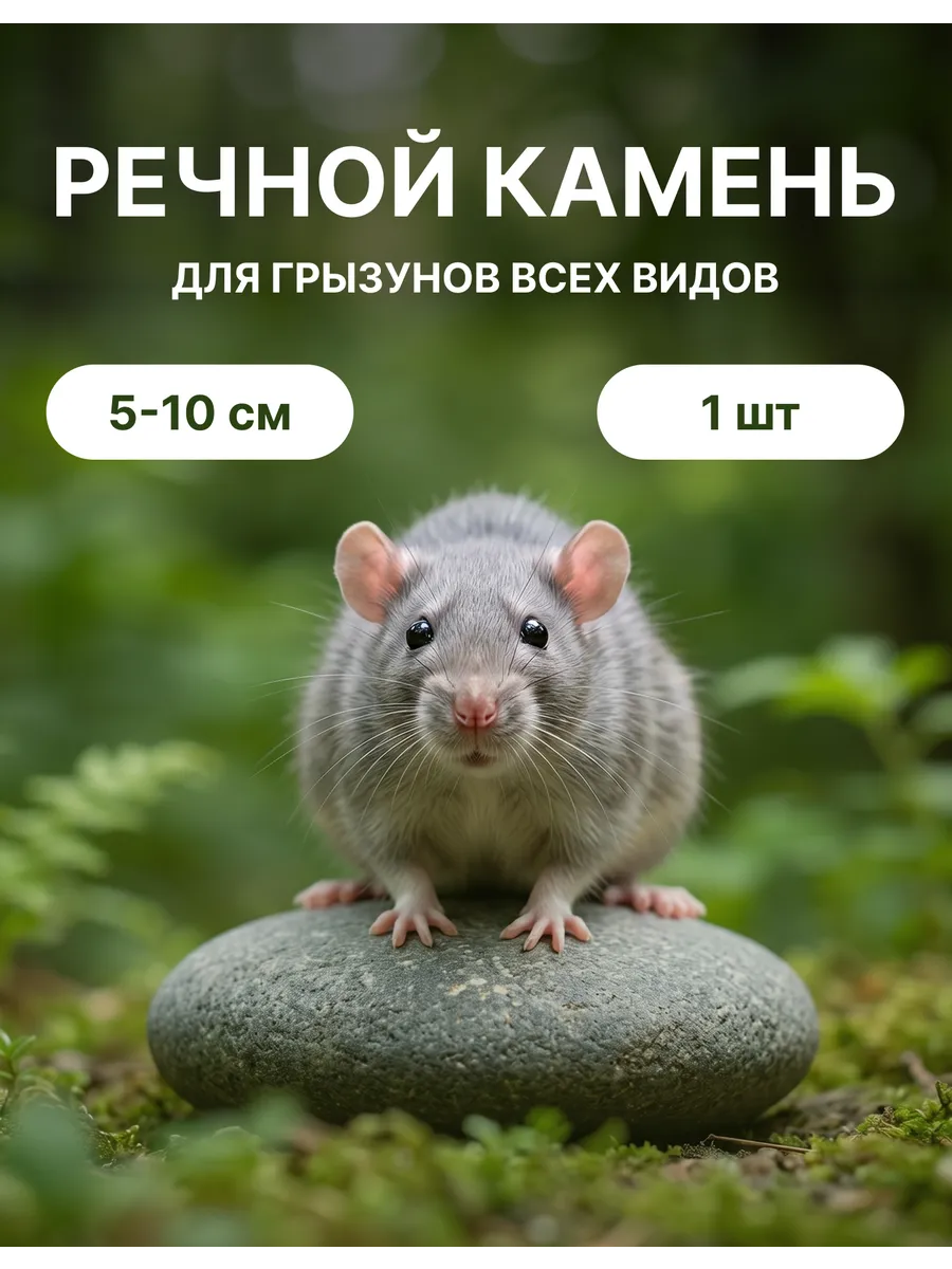 Туалетный речной камень для грызунов