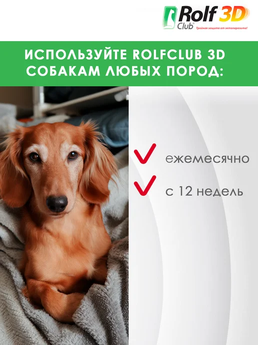 ROLF CLUB Капли от клещей, блох и комаров для собак 4-10 кг, 3 пипетки, 410 кг, фото 5