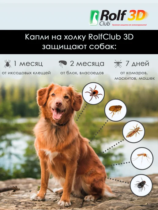 ROLF CLUB Капли от клещей, блох и комаров для собак 40-60 кг, 1 пипетк…, 2040 кг, фото 3