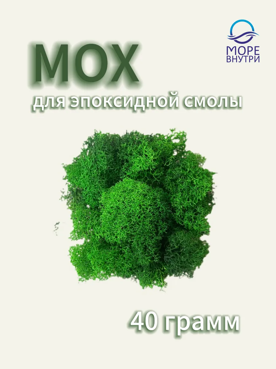 Мох для творчества
