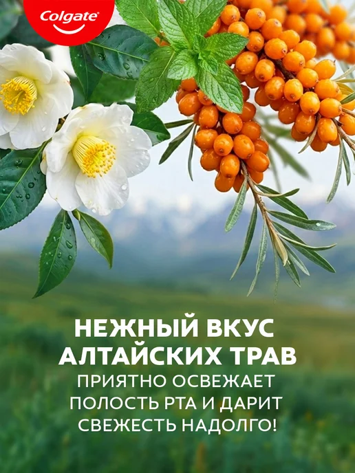 Colgate Ополаскиватель для рта Алтайские Травы 500мл, 500 мл, фото 3