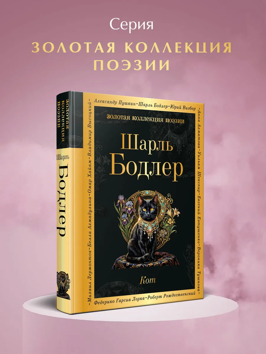 Кот