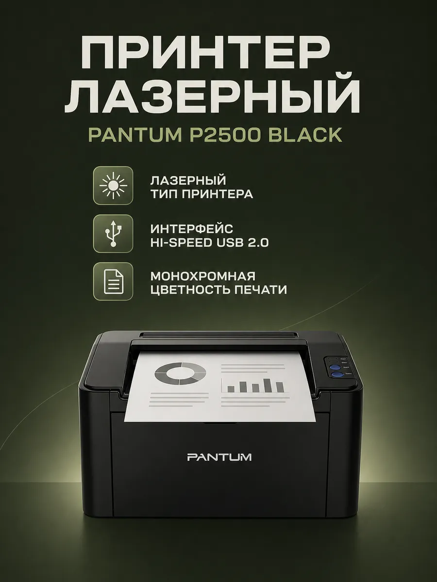 Принтер лазерный P2500, черный