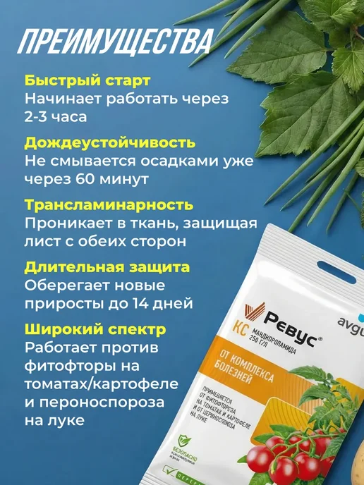 Avgust Ревус от фитофторы на томатах 3мл 3шт, 3 мл, 5 шт, фото 2