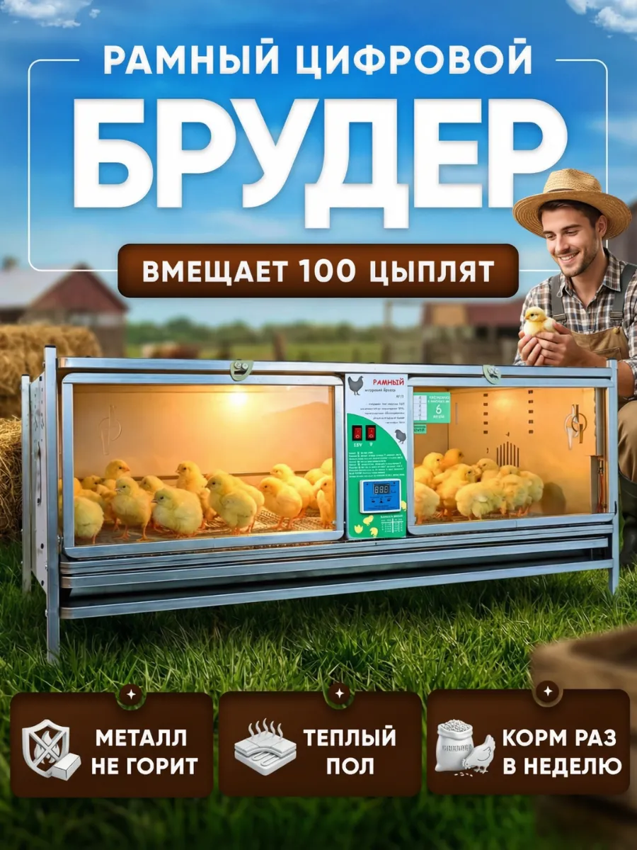Брудер для цыплят на 100 голов электронный рамный 0715