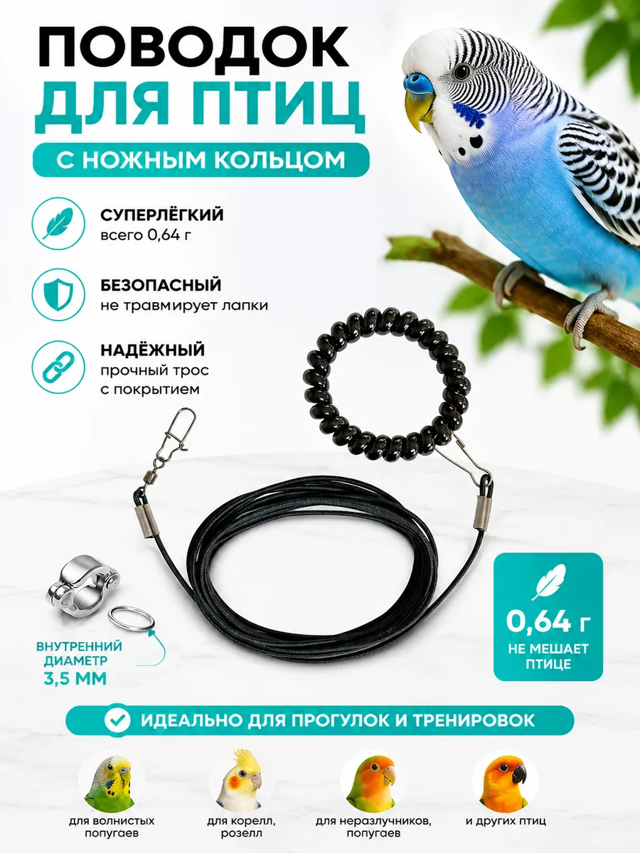 Поводок для попугая чёрный 2м