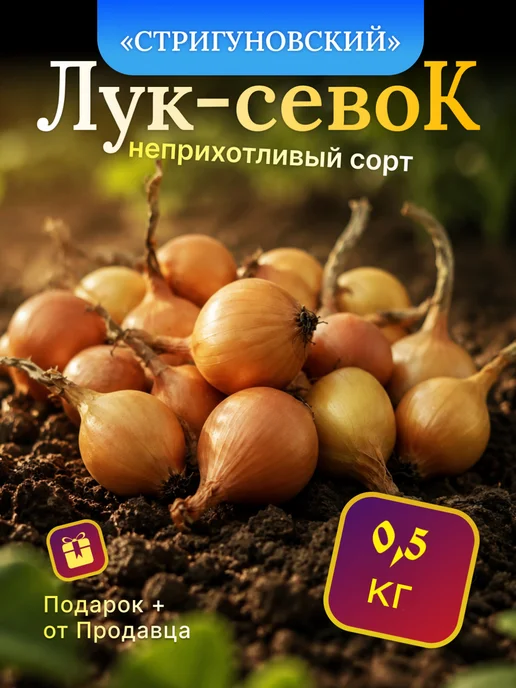 Лук-севок на посадку весной Стригуновский 0,5 кг, 500 г