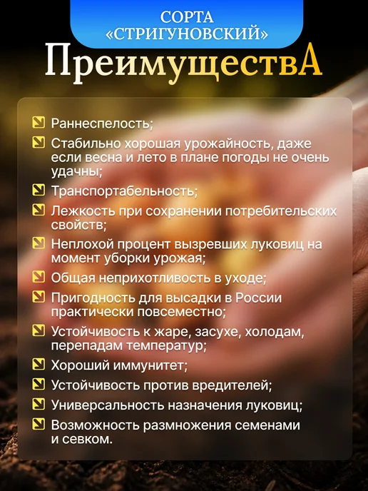 Лук-севок на посадку весной Стригуновский 0,5 кг, 500 г, фото 2