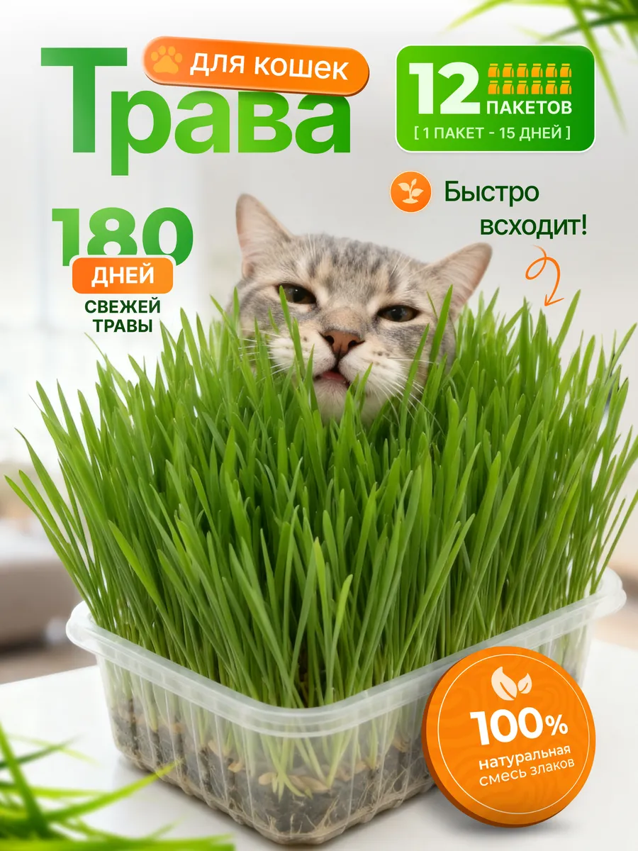 Трава для кошек и других питомцев. 180 дней свежего урожая