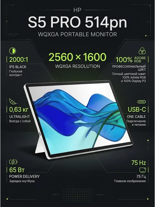 HP Портативный монитор Series 5 Pro 14 B88JWAA, вариант