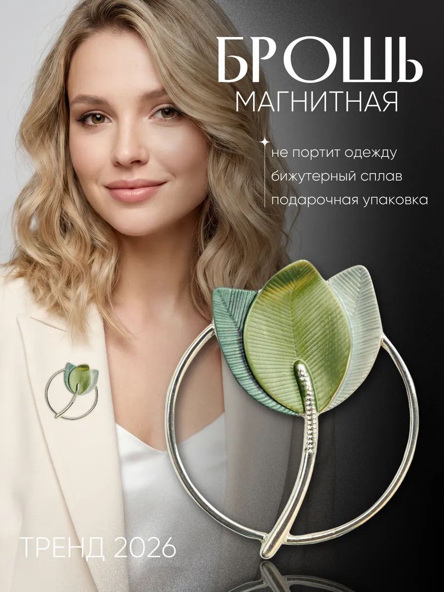 Брошь на магните