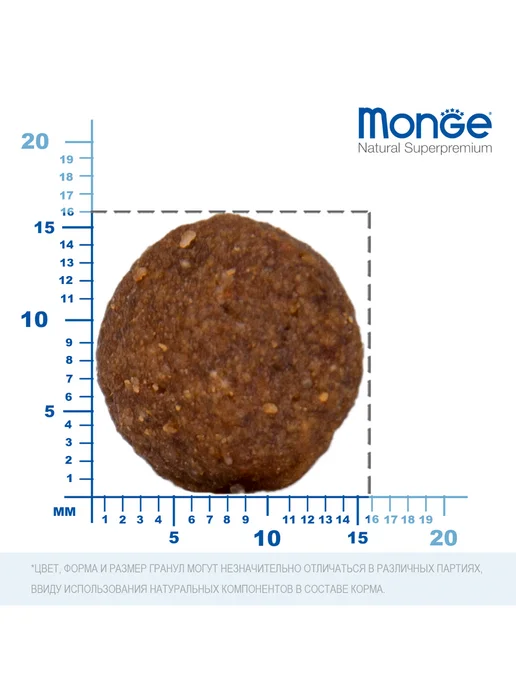 Сухой корм MONGE Monoprotein для собак, говядина, 12 кг, фото 4