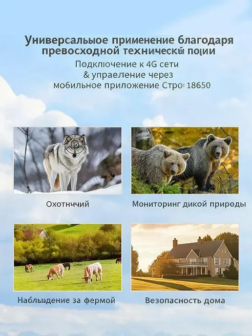 Фотоловушка с датчиком движения, вариант, фото 2