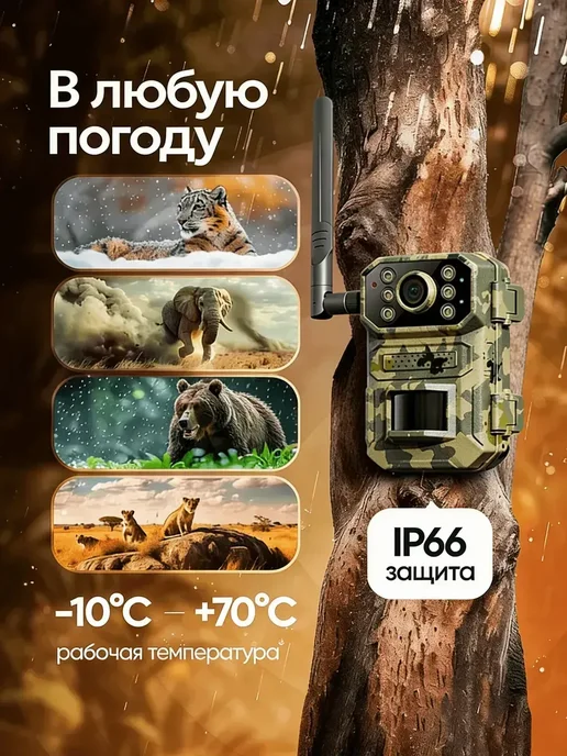 Фотоловушка с датчиком движения, вариант, фото 4