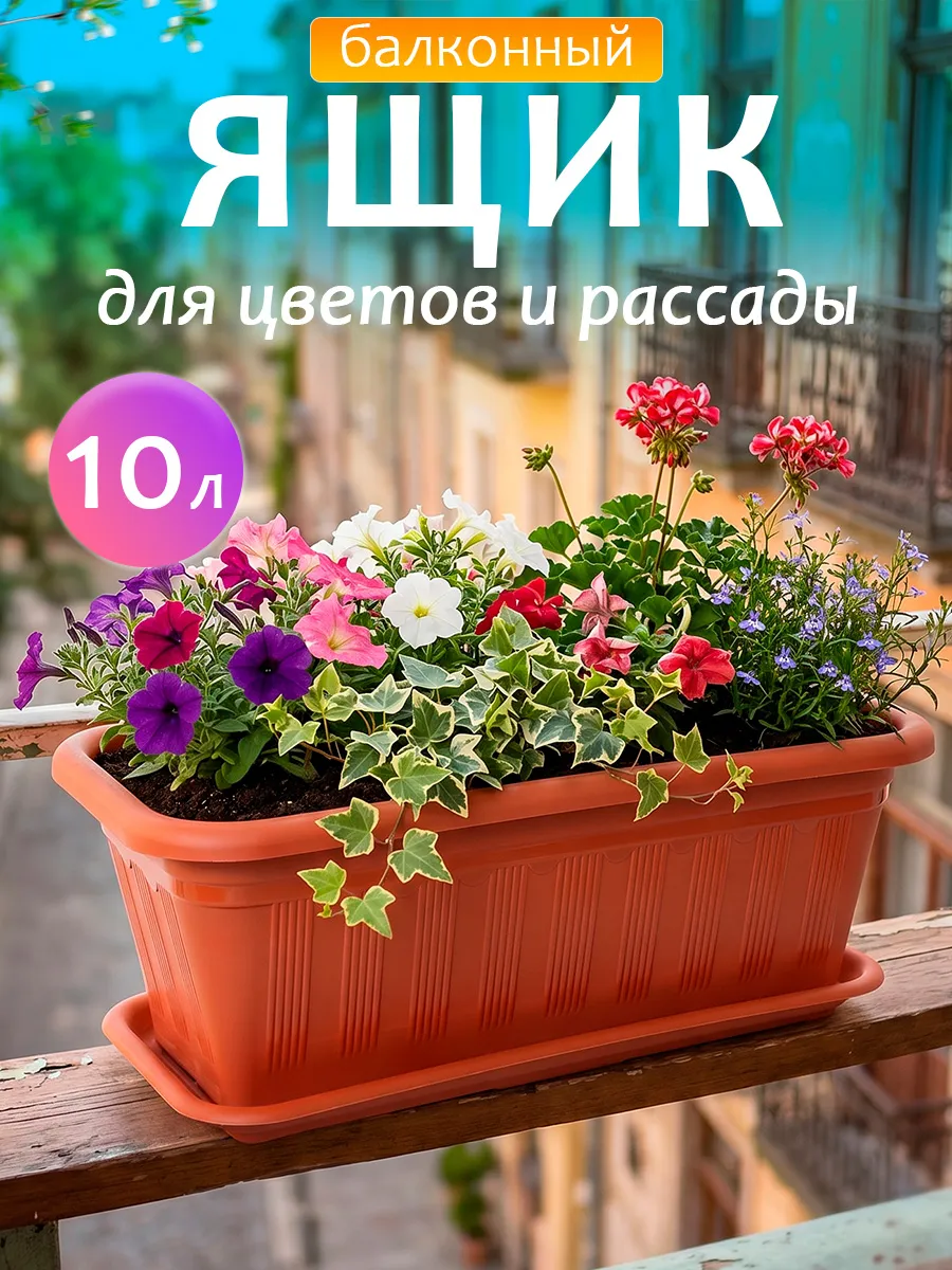 Балконный ящик для рассады и цветов пластиковый
