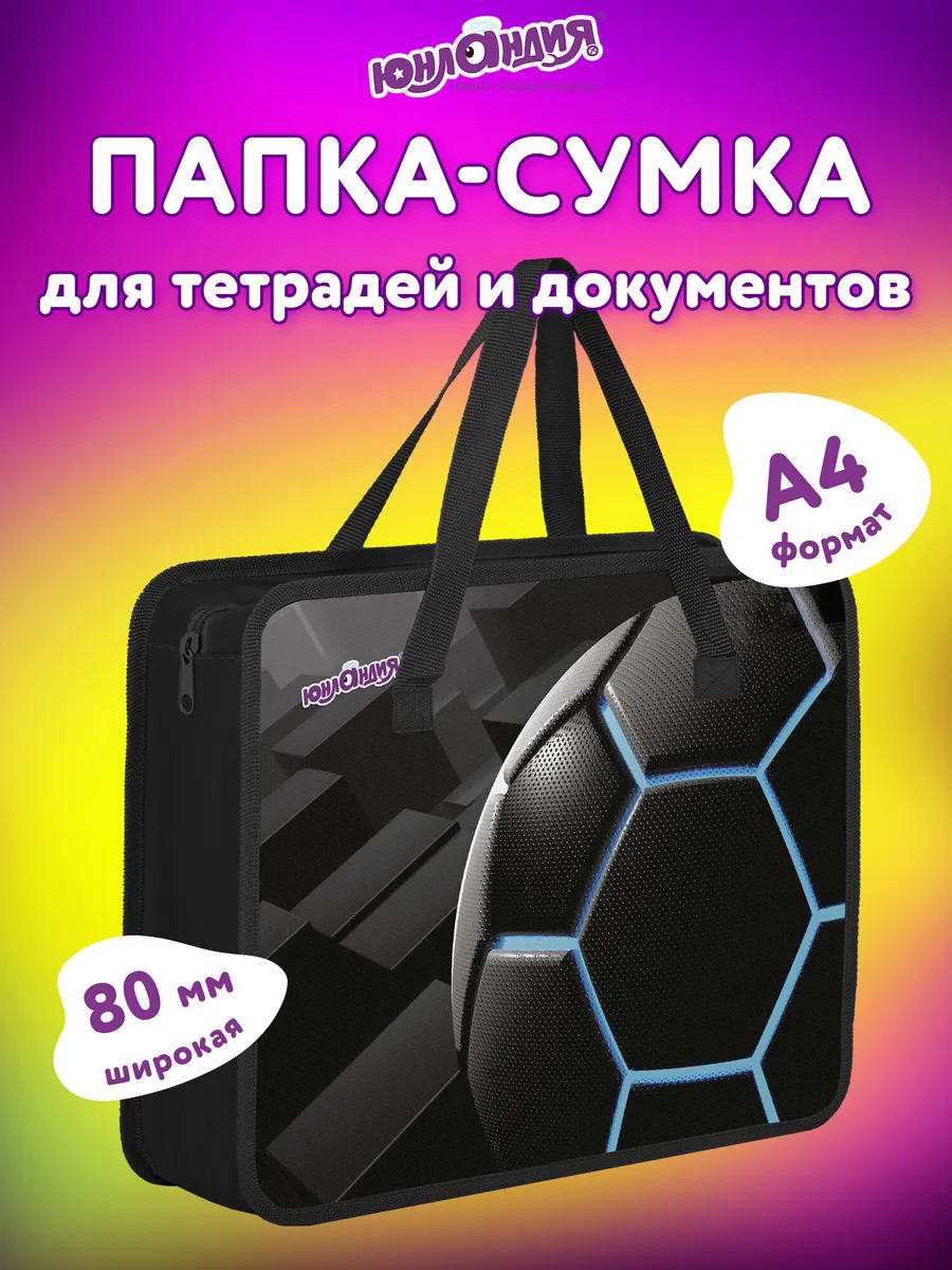 Папка сумка для тетрадей, труда, рисования и изо А4 в школу