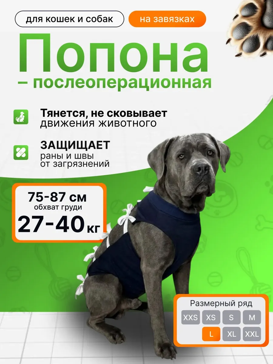 Попона для животных