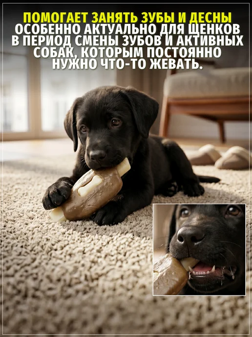 ЗООГЕНИЙ Игрушка с лакомством грызунок для собак косточка, размер - L, бежевый, фото 2
