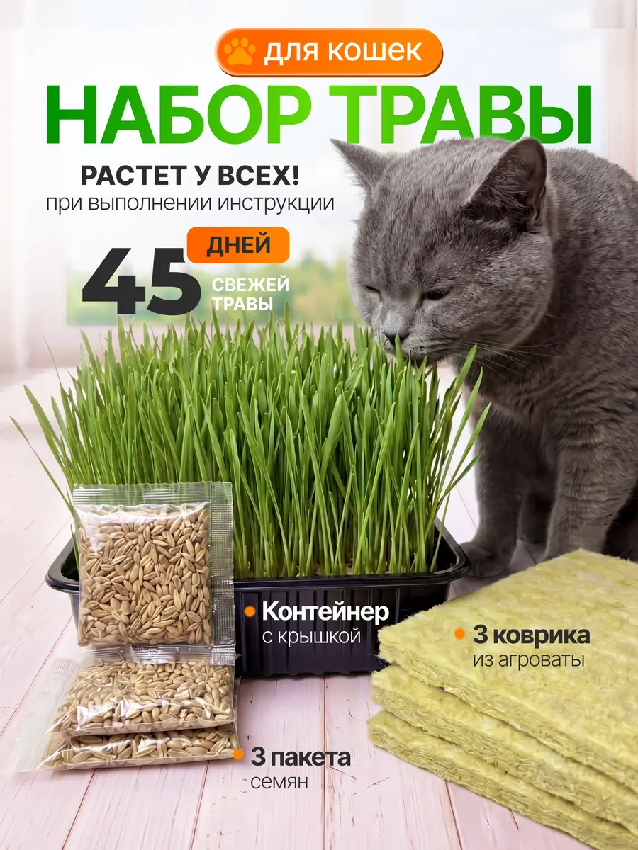 Трава для кошек и других питомцев. Комплект на 3 посадки