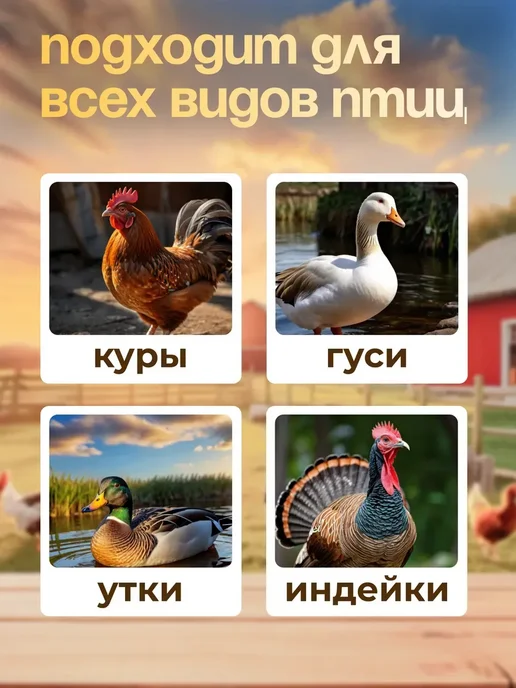 Электрическая перосъемная машина для птицы, черный, фото 3