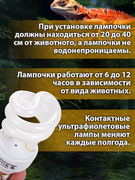 13-ваттная лампа для освещения рептилий, белый, фото 5