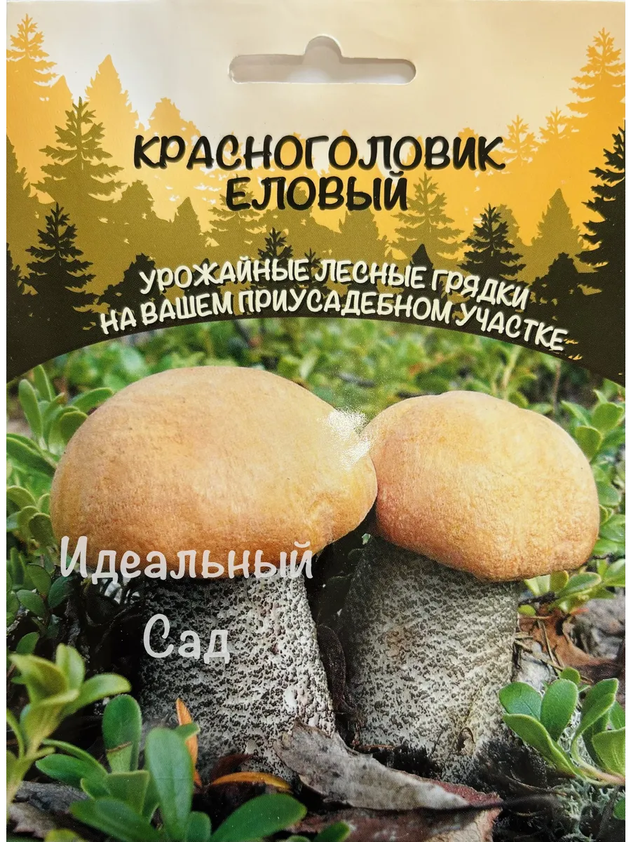 Гриб Красноголовик Еловый, 1 пакет (мицелий 30мл)