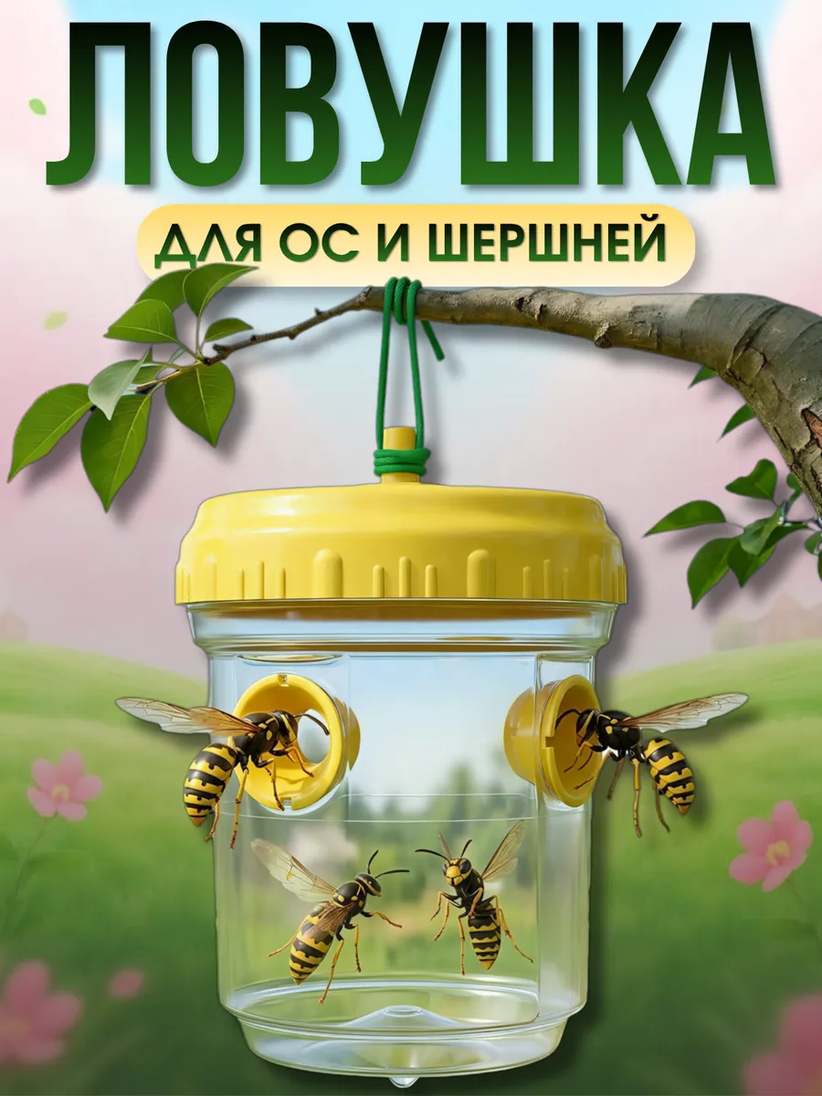 Ловушка для ос, мух, шершней