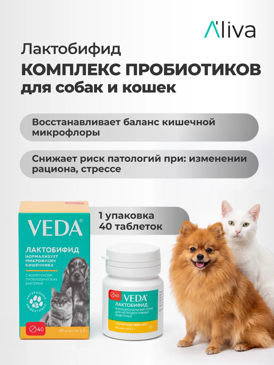 Комплекс пробиотиков для кошек и собак, ЛАКТОБИФИД, 40 таб