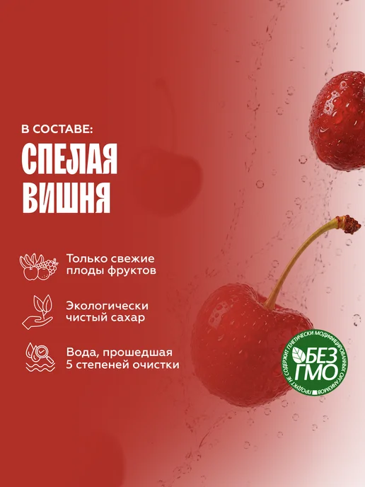 The Flip Пюре основа для напитков концентрат сока Облепиха 1кг, 1 кг, фото 2