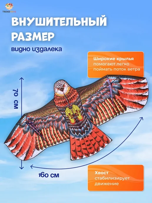 Детский большой сокол 160х70 см, летний змей, для детей и се, 160x70 см