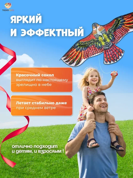 Детский большой сокол 160х70 см, летний змей, для детей и се, 160x70 см, фото 4